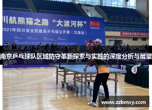南京乒乓球队区域防守革新探索与实践的深度分析与展望