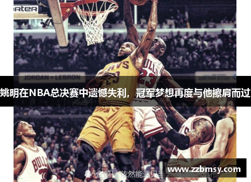 姚明在NBA总决赛中遗憾失利，冠军梦想再度与他擦肩而过