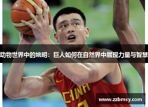 动物世界中的姚明:巨人如何在自然界中展现力量与智慧