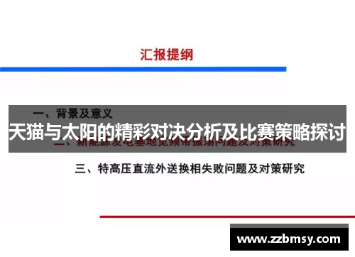 天猫与太阳的精彩对决分析及比赛策略探讨
